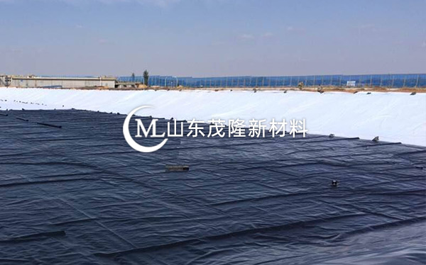 《衡水主城區(qū)生態(tài)修復(fù)工程》土工布、復(fù)合土工布施工