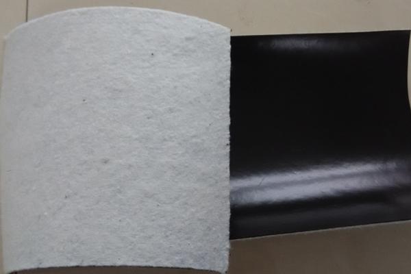 復(fù)合土工膜施工技術(shù)規(guī)范gb2008  第1張